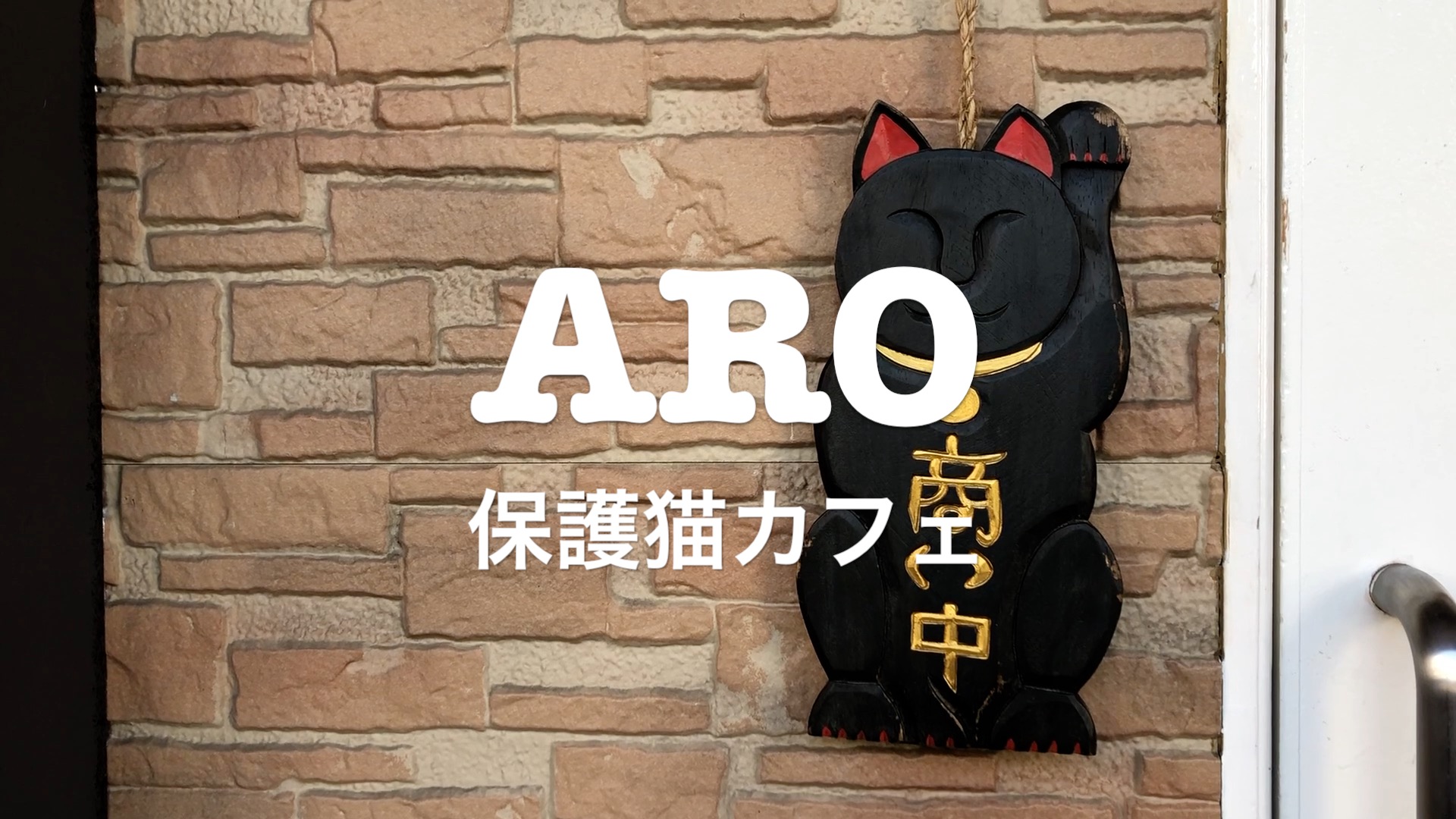 保護猫カフェARO ×りずむチャンネル